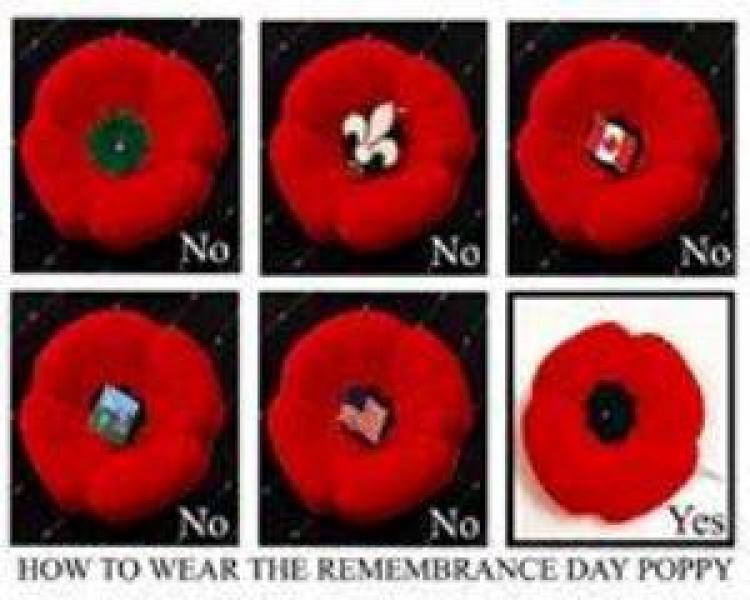 how-to-wear-the-remembrance-day-poppy-royal-canadian-legion